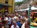 Clicca per fare lo zoom foto00015.jpg
